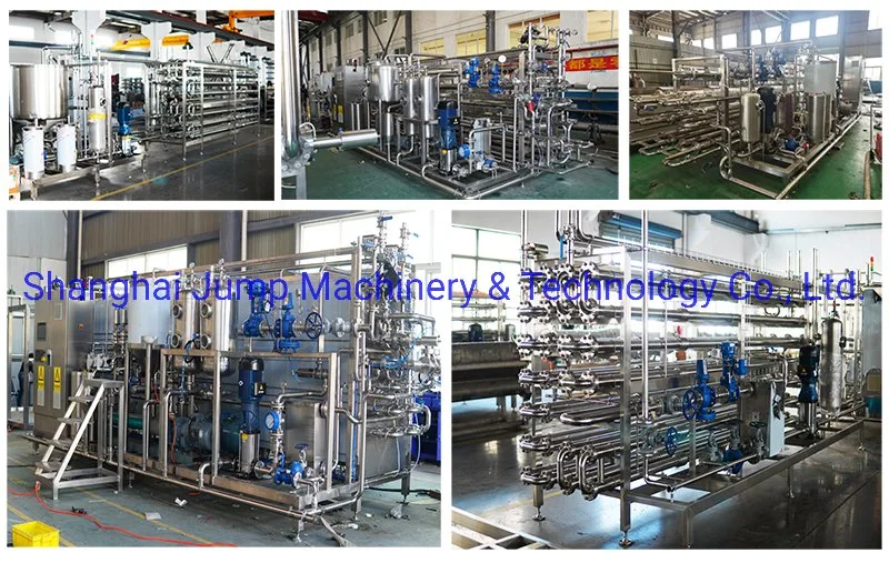 Tubular Sterilization Equipment for Haploid Fruit Pulp